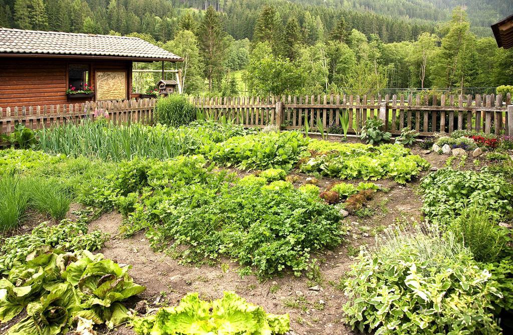 Hotel Waldheim Planca di Sopra Esterno foto